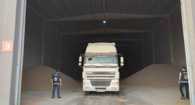 Tekirdağ'da 84 ton ekmek buğdayı ele geçirildi