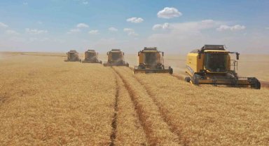 TİGEM işletmelerinden hasat rekoru: "392 bin ton"