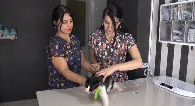 Türkiye kuduz için 'en riskli ülkeler' kategorisine alındı