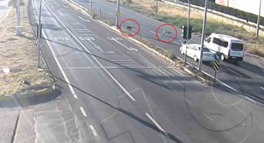 Yola çıkan 2 köpek kazadan kıl payı kurtuldu