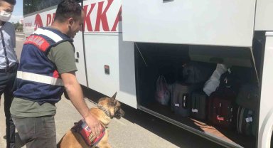 42 düzensiz göçmene 488 bin TL ceza yazıldı