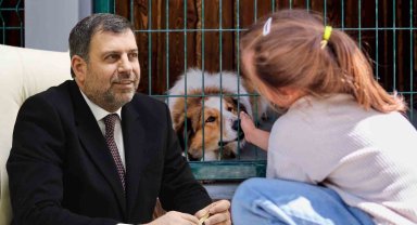 AK Parti İl Başkanı Reyhan'dan barınak açıklaması