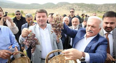 Aksaray'da 2. Geleneksel Bağ Bozumu ve Pekmez Festivali