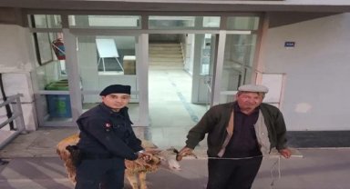 Çalıntı küçükbaş hayvanı sosyal medya üzerinden satmaya çalışan şahıs yakalandı