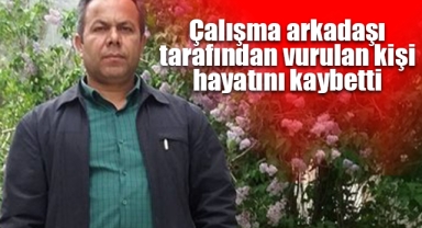 Çalışma arkadaşı tarafından vurulan kişi hayatını kaybetti