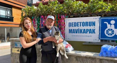 Hayvana şiddet videosuna yorum yaptı, başına olmadık olay geldi