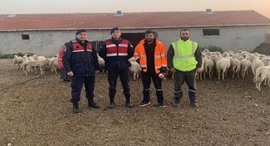 Kaybolan 200 küçükbaş hayvan 6 buçuk saat sonra bulundu