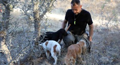 Kilosu 3 bin avro ve sadece özel eğitimli köpekler bulabiliyor