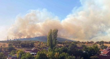 Kiraz bahçesinde bulunan evde çıkan yangın ormana sıçradı