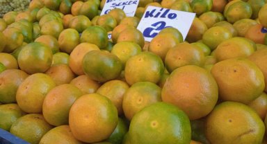 Pazarcının vitamin yönünden zengin mandalina satışından beklentisi yüksek