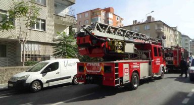 Yangında onlarca güvercin telef oldu