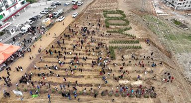 100. Yıl Cumhuriyet Hatıra Ormanı'na 2023 adet fidan dikildi
