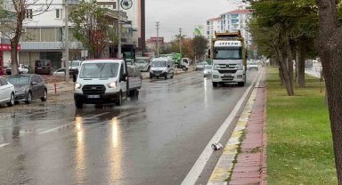 Aksaray'da rüzgar yağmurla birlikte etkisini artırdı