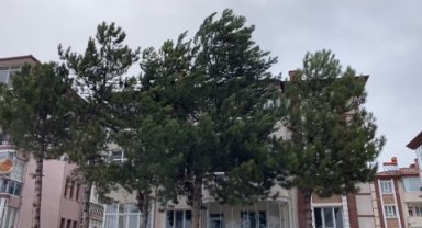 Çerkeş'te sağanak yağış ve fırtına elektrik kesintisini beraberinde getirdi