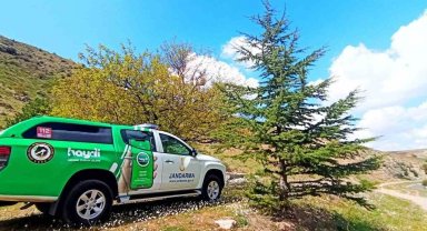 Durdurulan araçtan ölü kuşlar çıktı, araç sahibine 71 bin ceza yazıldı