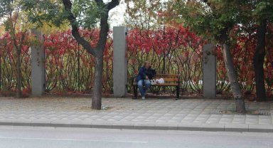 Eskişehir'de renkli yaprakların uyumlu görüntüsü dikkat çekiyor