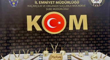Evden tarih çıktı