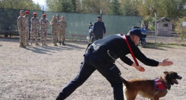 JAKEM köpekleri hünerlerini Katarlı askerler için sergilediler