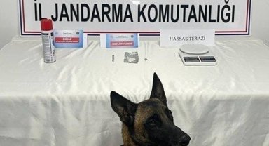 Jandarmanın uyuşturucu ile mücadelesinde 2 şahıs tutuklandı