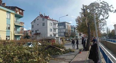 Konya'da şiddetli fırtınada kırılan ağaç park halindeki otomobile zarar verdi