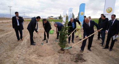 Niğde'de bal ormanı kuruldu