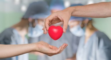 Organ bağışının yetersizliği hayat kayıplarına neden oluyor