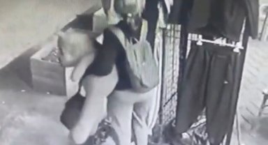 Oyuncak ayılı hırsız güvenlik kameralarına yakalandı