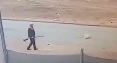 Sahipsiz köpeği av tüfeğiyle öldürdü