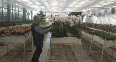 Sincan Belediyesinin seralarında Öğretmenler Günü hazırlığı