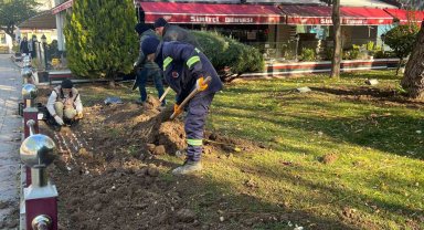 Sincan'da lale soğanı toprakla buluştu