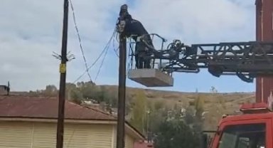 Sivas'ta İtfaiye ekipleri, yaramaz kedi için seferber oldu