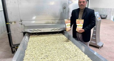 Tomarza'da kabak çekirdeğinde seri üretime geçildi