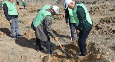 Yahyalı'da binlerce fidan toprakla buluştu