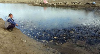 Yozgat'ta sulama barajında toplu balık ölümleri yaşandı