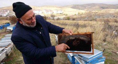 Yozgat'ta varroa hastalığı 15 bin kovana zarar verdi