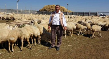 Bu çadır sayesinde hayvan sayısını 2 katına çıkardı