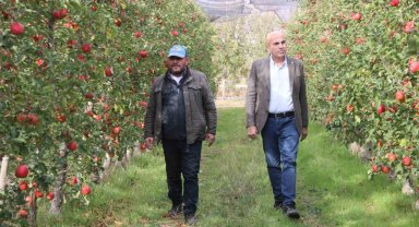 Elmanın büyükşehirlerde 4 katı fazla fiyata satılması üreticisini de rahatsız ediyor