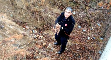 İstinat duvarından düşen köpek kurtarıldı