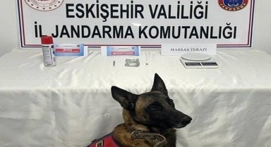 Jandarma ekiplerinden 8 ayrı uyuşturucu operasyonu