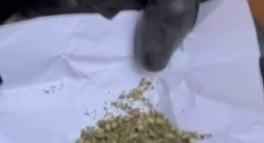 Jandarmadan nefes kesen eş zamanlı operasyon: 6 gözaltı