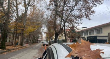 Sokaktaki sonbahar manzarası mest etti