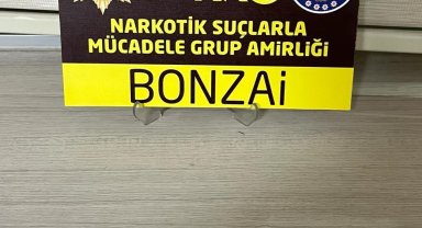 Uyuşturucu ile yakalanan 2 şüpheli gözaltına alındı