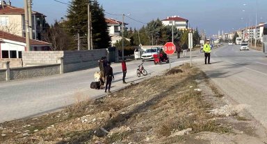 Yola çıkan başıboş eşeklere tır çarptı