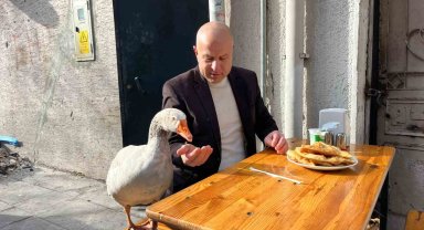 12 yıllık kazı ile Eskişehir'i gezdi, çi börek yedi