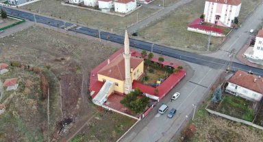 Ağaçlar kesilmedi ortaya ilginç görüntüler çıktı