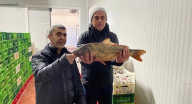 Beyşehir Gölü'nde avcılara sıkı denetim