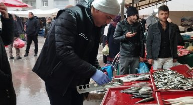 Beyşehir'de boy limiti altında balık tüketilmemesi çağrısı
