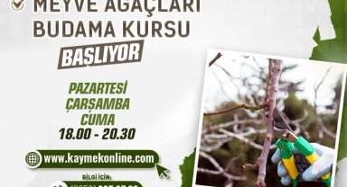 Büyükşehirden 'Meyve ağaçları budama kursu'
