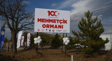 Eskişehir Orman Bölge Müdürlüğü 2023 yılında 1 milyon 264 bin fidan dikti