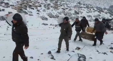 Karaman DKMP ekipleri yaban hayvanlarını unutmadı